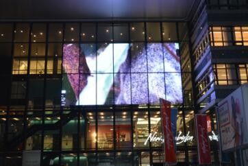 P10 transparente Schirm CER des Glas-LED/ROHS Videobescheinigung im Freien